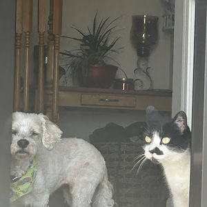 Meet your Posher, Alisha